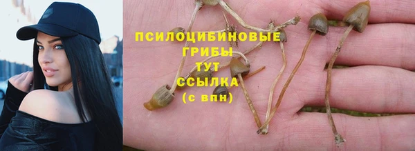 мдпв Медногорск