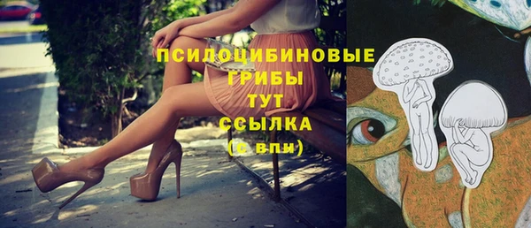 экстази Медвежьегорск