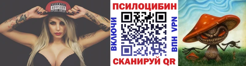Псилоцибиновые грибы Cubensis  Северобайкальск 