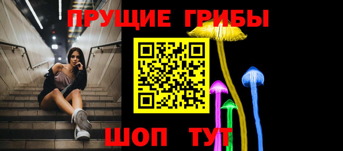 Галлюциногенные грибы ЛСД  Галлюциногенные грибы Magic Shrooms  Вход с VPN  дарнет шоп  Северобайкальск 