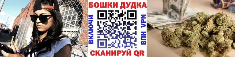 Шишки марихуана марихуана  Северобайкальск 